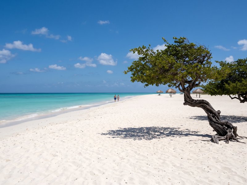 Aruba – Foto 2