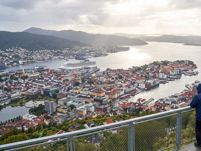 View from Mount Fløyen over Bergen, its harbour and the fjord, with a cruise ship at the quay below